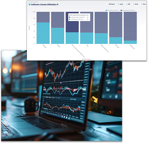 Software License Management